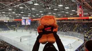 Daren the Lion at Growlers Game